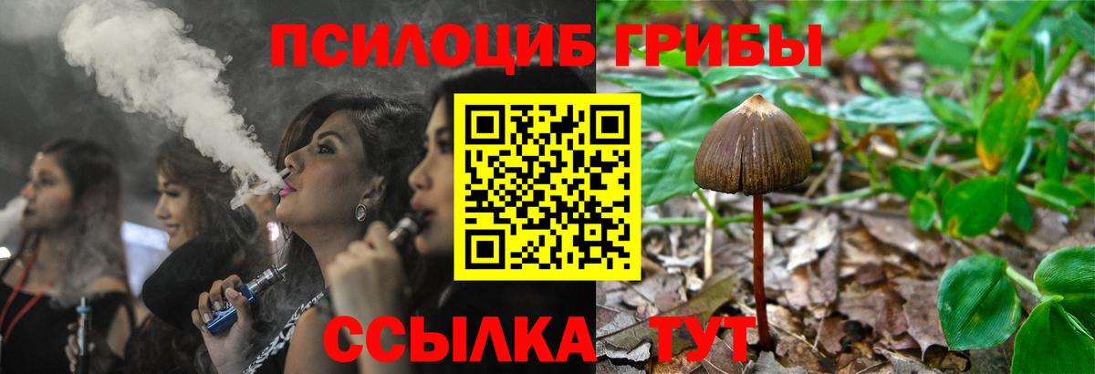 Псилоцибиновые грибы мицелий  Псилоцибиновые грибы Psilocybe  Вход с VPN  Бутурлиновка 